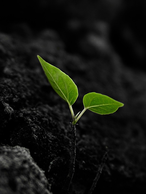 engineering business growth engineering business growth